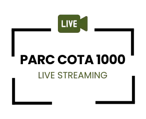 icon live streaming parc cota 1000